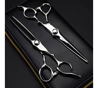 Hair Cutting Scissors, 6.5 Inch Professional Japan 440c Steel Scissor Silver Haircut Thinning Barber Cutting Shears Hairdressing Scissors Set