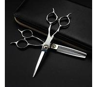 Hair Cutting Scissors, 6 Inch Professional 440c Bearing Two-Tailed Hair Scissors Haircut Thinning Barber Cutting Shears Hairdresser Scissors Set