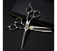 Hair Cutting Shears, 6.5 Inch Professional Japan 440c Steel Upscale Silver Hair Scissors Haircut Thinning Barber Cutting Shears Hairdresser Scissors (Color : Set)