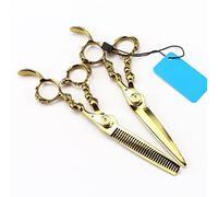 Hair Cutting Shears, 6INCH Japanese 440C Stainless Steel Upscale den Skull Hairdressing Scissors Hair Cutting and Thinning Scissors Barber Shears Set