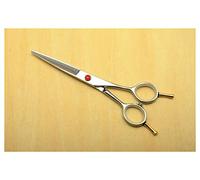 Hair Cutting Shears, Professional Hair Shears Hairdressing Scissors Jp 440C Cutting Scissors Thinning Shears Professional Human,Purple,White,Silvery Cutt No Bag