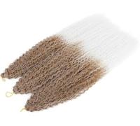 Hair Dreadlock Extensions,Hair Extensions,Afro Curls Kinky Curly Crochet Braid African Curls Hair Ombre Braiding Hair(M30 White 6Pcs/Lot)