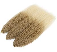 Hair Dreadlock Extensions,Hair Extensions,Afro Curls Kinky Curly Crochet Braid African Curls Hair Ombre Braiding Hair(M27 613 4Pcs/Lot)