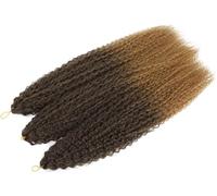 Hair Dreadlock Extensions,Hair Extensions,Afro Curls Kinky Curly Crochet Braid African Curls Hair Ombre Braiding Hair(M4 27 1Pcs/Lot)