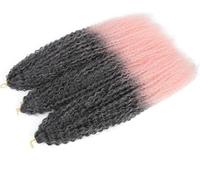 Hair Dreadlock Extensions,Hair Extensions,Afro Curls Kinky Curly Crochet Braid African Curls Hair Ombre Braiding Hair(M1B F 1Pcs/Lot)