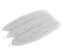 Hair Dreadlock Extensions,Hair Extensions,Afro Curls Kinky Curly Crochet Braid African Curls Hair Ombre Braiding Hair(M Sliver Grey 3Pcs/Lot)