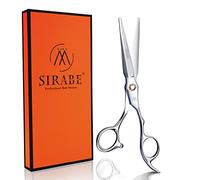 Hair Scissors Professional