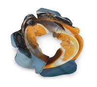 Hair Scrunchies for Women,Turtles Emerging from Orangesprinted Soft Elastic Satin Scrunchies Hair Accessories Ponytail Holders