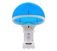 Hair Steamer 480W 2 in 1 Face and Hair Steamer with Hood UK Plug | Nano Water Ion Steam with 450ml Tank and Automatic Low-Water Shutoff