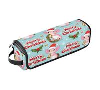 Hair Tool Travel Bag with Removable Heat Resistant Mat Waterproof Hair Tools Travel Organizer for Flat Irons, Straighteners, Curling Irons, Merry Christmas Pink American Salamander Hair
