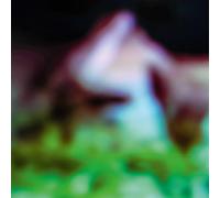 Hair & Treasure - Disc Rot [12" VINYL]