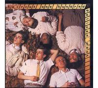 The Best of Louis Armstrong: The Hot Five and Hot Seven Recordings