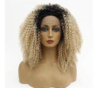 Hairpieces Lace Front Wigs Ladies Fluffy Long Curly Wavy Wig Heat Resistant Fiber Synthetic Hair for Cosplay Costume Halloween Party with MixedColor 1426inches 14in 14 in