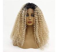 Hairpieces Ladies Lace Front Wigs Fluffy Long Curly Wavy Wig Heat Resistant Fiber Synthetic Hair for Cosplay Costume Halloween Party with MixedColor 1426inches 24in 22 in