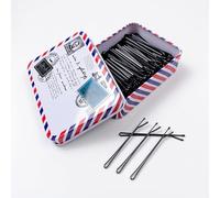 Hairpins,200 Pieces of Hairpins,Hairpins,Women'S Hairpins,Hairdressing Hairpins With Metal Storage Box (Black + Envelope Iron Box)