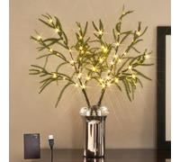 Hairui Lighted Norfolk Pine Branches Battery Operated with Timer, 60 LED Fairy Lights for Home, Bedroom, Fireplace, Thanksgiving, Christmas Decor