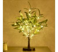 Hairui Lighted Small Olive Tree Battery Operated or USB 18in 50 Warm White LED with Timer, Light Up Table Top Artificial Greenery Tree with Fairy Lights for Wedding Holiday Home Christmas Decoration