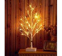 Hairui Lighted Tabletop Birch Tree 24 LED 18 Inches for Christmas Thanksgiving Holiday Decoration Battery Operated with Timer Indoor Use
