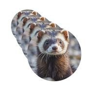 Hairy Ferret Car Air Freshener Cards for Women Men 4 Pack Cute Car Accessories Long Lasting Scent Car Diffuser Hanging Auto Aromatherapy Tablets Car Fresheners Gifts