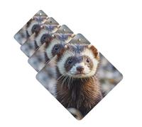 Hairy Ferret Car Air Freshener Cards for Women Men 4 Pack Cute Car Accessories Long Lasting Scent Car Diffuser Hanging Auto Aromatherapy Tablets Car Fresheners Gifts