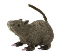 Hairy Rats 21cm Accessory for Fancy Dress