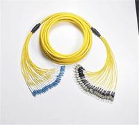 HAIZHI 24 cores LC-LC fiber patchcord 1-30m Singlemode 20m 10m 5m bundled jumper SC FC ST E2000 SM optical fiber patch lead 24C bundle(2m LC-LC)