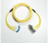 HAIZHI LC-LC fiber patchcord 1m-30m 12 cores Singlemode 20m 10m 5m bundled jumper SC FC ST E2000 SM optical fiber patch lead 12C(3m LC-LC)