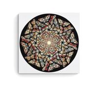 HAJIDEMA M. C. Escher Art poster Circle Limit with Butterflies Canvas Wall Art Decorative Bedroom Modern Home Print Picture Artworkss 16x16inch(40x40cm)