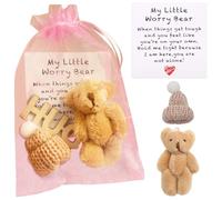 HAJXXMM Mini Bears with Card, Little Bear in Box, Fluffie Stuffies Bear Doll, Mini Plush Bears, Positive Gift for Kids Friends, for Christmas, Valentine’ s Day (Brown)