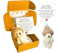 HAJXXMM Mini Bears with Inspirational Card, Little Bear in Box, Fluffie Stuffies Bear Doll, Mini Plush Bears, Positive Gift for Kids Friends Birthday Good Luck (White)