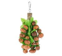 HAKIDZEL Bird Hanging Chew for Parrots, Wooden Nut Chew String | Mango Wood Pendant Design, Ring Buckle Hook, Aviary Use, for Lovebirds and Birdcage Boredom