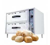 HAKKA Bakery Warmer Food Warming Drawers 2-Drawer Bun Warmer & Steamer Cabinet with Thermostat Control(30-110℃), Humidity Feature, Stainless Steel for Keeping Buns, Meat, Piri-Piri Chicken Warming