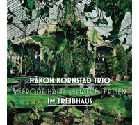 Hakon Kornstad Trio, Frode Haltil & Mats Eilertsen - Im Treibhaus
