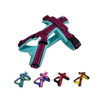 [白山:Hakusan] Zero Dog Harness Type, Safe - No chocking/Hard to Disconnect, Great fit - Easy Put on and Off/Adjustable, Reflector, Ventilation, XL - Large Dog, Two-Tone Mint x Purple