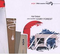 Hal Galper - Ivory Forest