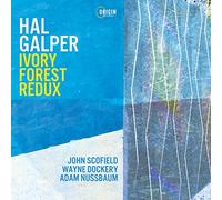 Hal Galper, John Scofield, Wayne Dockery, Adam Nussbaum - Ivory Forest Redux