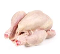 Halal Baby Chicken 1 kg x 2 Packs - Tender Whole Baby Chickens
