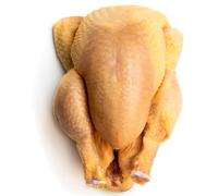 Halal Fresh Corn Fed Poussin Whole 250 g - Tender Young Chicken, Premium Quality