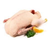 Halal Freshly Frozen Free-Range Whole Goose 4-5kg -/+10% | Premium Quality Halal Poultry | Perfect for Roasting, Festive Dinners & Special Occasions