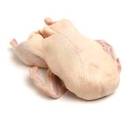 Halal Freshly Frozen Whole British Goose with Giblets 4kg (-/+10%) | 100% Halal Certified | Premium Free-Range Goose | Ideal for Roasting & Festive Occasions