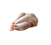 Halal Freshly Frozen Whole Pheasant | 2 Units (~1000g ±10%) | Premium Game Bird | Tender & Juicy | Ideal for Gourmet Roasts, Grilling & Special Dinners