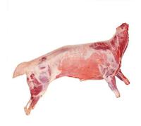 Halal Grass Fed Whole Freshly Frozen Mutton 2+ Years 37kg -/+10% - Premium Mature Sheep for Curries, Slow Cooking & Traditional Dishes - Rich, Full Flavour