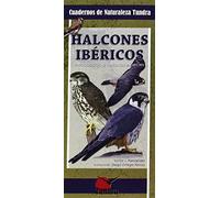 Halcones Ibericos - Introduccion A Todas Las Especies (Cuadernos De Naturaleza)