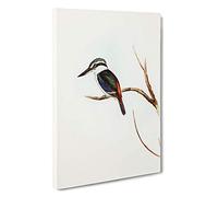 Halcyon Kingfisher by Elizabeth Gould Canvas Print | Gallery Wrapped 30mm Frame Wall Art | 30x20 inches | Ready to Hang | Modern Bird Picture | Living Room Bedroom Lounge Office