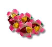 HALDI MEHENDI SHAADI 5 pcs Haldi Kumkum Packets Return Gift Set, All in one Gift For Women, Weddings, Pooja Functions | Traditional Festivals (Pink, 5)