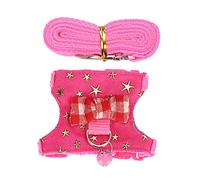 Halearo Pet Walking Harness Vest Leash Set Soft Cotton Breathable Chest Strap for Ferret Chinchilla Squirrel (M)