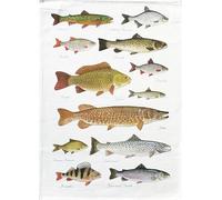 Half a Donkey Freshwater Fishes large cotton tea towel