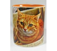 Half a Donkey The Big Ginger Cat Mug with Orange Glazed Handle and Inner