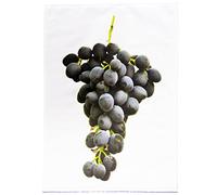 Half a Donkey The Bunch of Black Grapes - Large Cotton Tea Towel