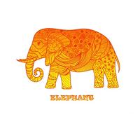 Half a Donkey The Orange Zentangle Elephant Design - Large Cotton Tea Towel